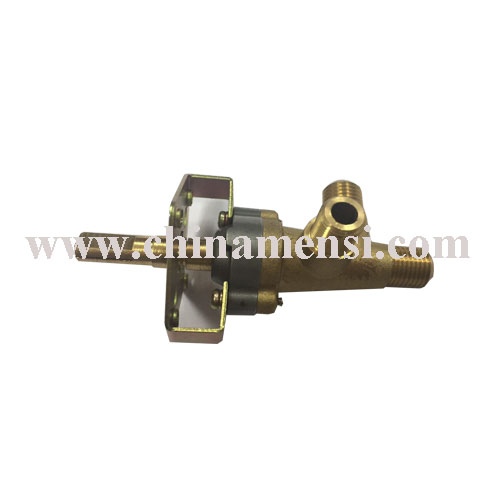 Gas Appliance Valve